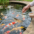 10kg Mixed Floating Pond Fish Food – 2mm-16mm Sticks & Pellets