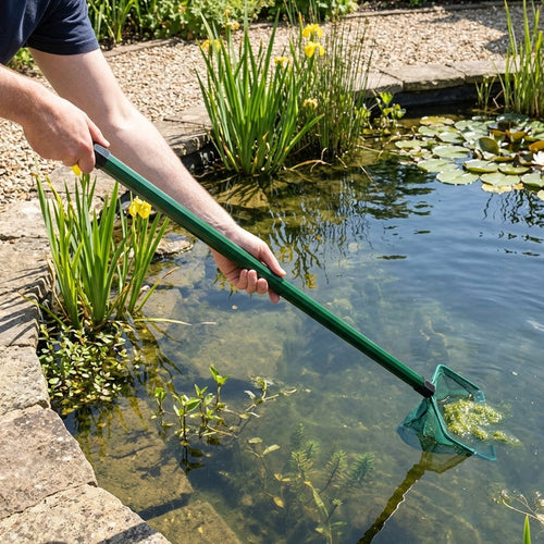 1.2m Fixed Pond Net Pole – Lightweight, Small Size