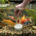 6cm Pond Fish Food Block – 2 Week Feeding, 50g
