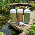 Pond Treatment Pack for Blanketweed, Sludge & Green Water – 3 Tubs