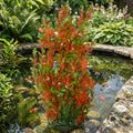 100cm Artificial Underwater Pond Plant – Version A, Extra Long
