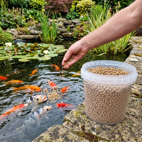 0.5cm Pond Fish Food Staple Pellets - 1L/400g