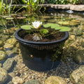 20cm x 13cm Round Pond Planting Basket – Medium Mesh Aquatic Pot